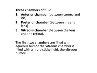 Three chambers of fluid:
1. Anterior chamber (between cornea and
iris)
2. Posterior chamber (between iris and
lens)
3. Vitreous chamber (between the lens
and the retina).
The first two chambers are filled with
aqueous humor the vitreous chamber is
filled with a more sticky fluid, the vitreous
humor.
 