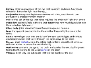 Cornea: clear front window of the eye that transmits and main function is
refraction & transfer light into the eye, .
Conjunctiva: transparent layer covers cornea and sclera, contribute to tear
production & protect eye from infection
Iris: colored cell of the eye that helps regulate the amount of light that enters
Pupil: dark aperture/hole in the iris that determines how much light is let into
the eye (adjust light entry)
Ciliary body: joins Iris with Choroid & makes aqueous humour
Lens: transparent structure inside the eye that focuses light rays onto the
retina
Retina: nerve layer that lines the back of the eye, senses light, and creates
electrical impulses that travel through the optic nerve to the brain
Macula: small central area in the retina that contains special light-sensitive
cells and allows us to see fine details clearly
Optic nerve: connects the eye to the brain and carries the electrical impulses
formed by the retina to the visual cortex of the brain
Vitreous: clear, jelly-like substance that fills the middle of the eye
 