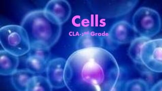 Cells
CLA-2nd Grade
 