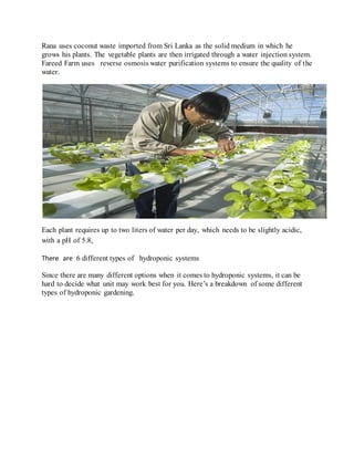Rana uses coconut waste imported from Sri Lanka as the solid medium in which he
grows his plants. The vegetable plants are then irrigated through a water injection system.
Fareed Farm uses reverse osmosis water purification systems to ensure the quality of the
water.
Each plant requires up to two liters of water per day, which needs to be slightly acidic,
with a pH of 5.8,
There are 6 different types of hydroponic systems
Since there are many different options when it comes to hydroponic systems, it can be
hard to decide what unit may work best for you. Here’s a breakdown of some different
types of hydroponic gardening.
 
