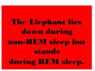 The Elephant lies
down during
non-REM sleep but
stands
during REM sleep.
 