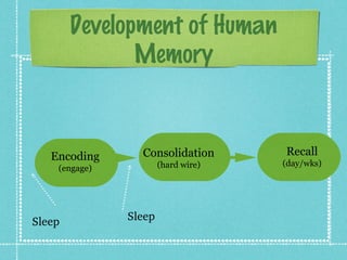 Development of Human
Memory
Consolidation
(hard wire)
Recall
(day/wks)
Encoding
(engage)
Sleep Sleep
 