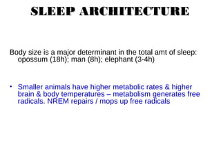 SLEEP ARCHITECTURESLEEP ARCHITECTURE
Body size is a major determinant in the total amt of sleep:
opossum (18h); man (8h); elephant (3-4h)
• Smaller animals have higher metabolic rates & higher
brain & body temperatures – metabolism generates free
radicals. NREM repairs / mops up free radicals
 