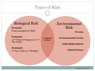 Types of Risk
Biological Risk
Prenatal:
From conception to Birth
Perinatal:
22nd Week of Pregnancy to 7th
Day of Life
Postnatal:
7th Day of Life to 1st Birthday
Environmental
Risk
Poverty
Environmental Toxins
Child Maltreatment
School Factors
Combined
Factors
© Cengage Learning 2013
 