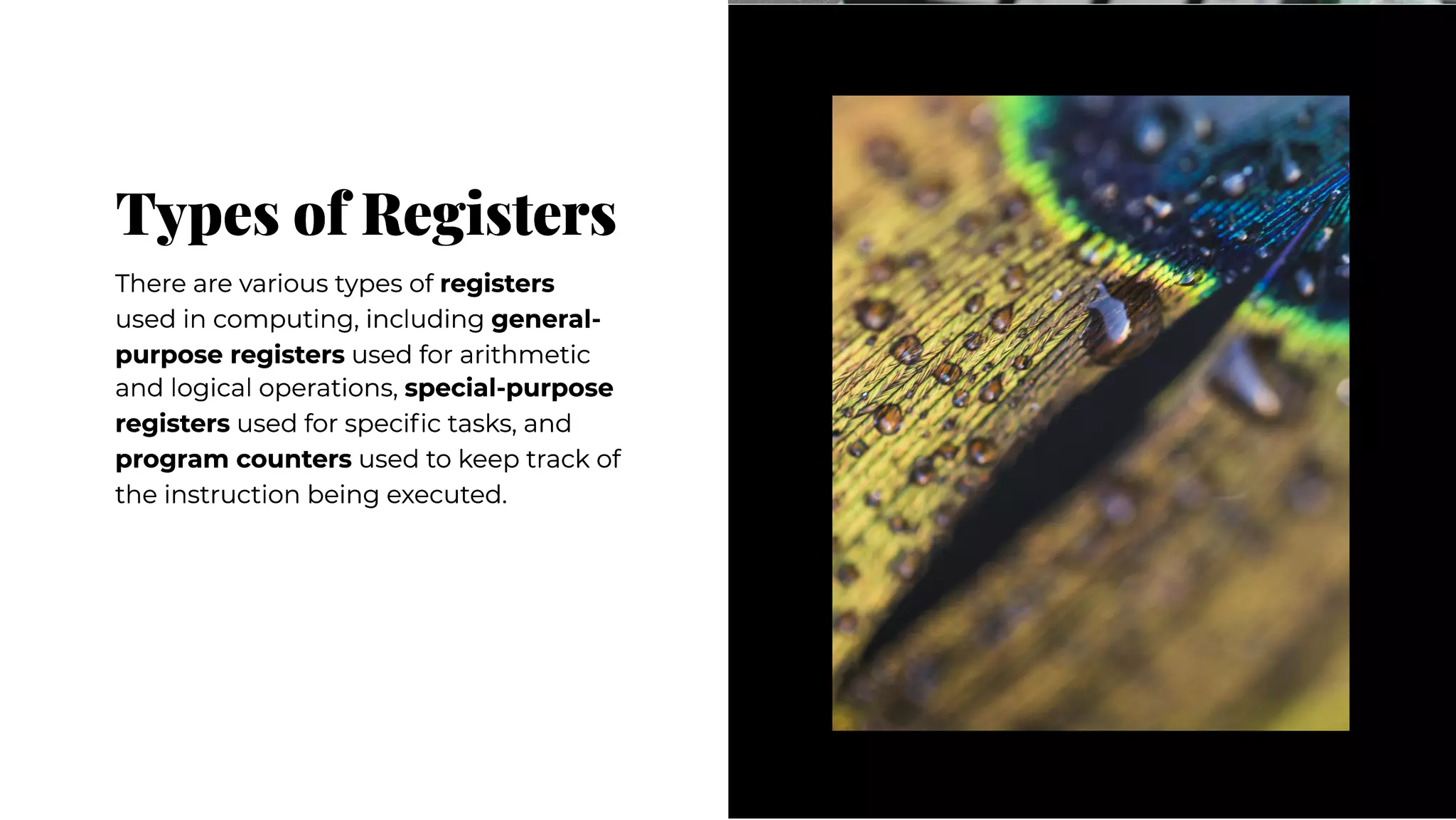 register and iits type explain here | PPT