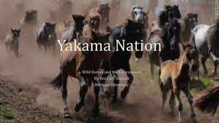 Yakama Nation-Wild Horses