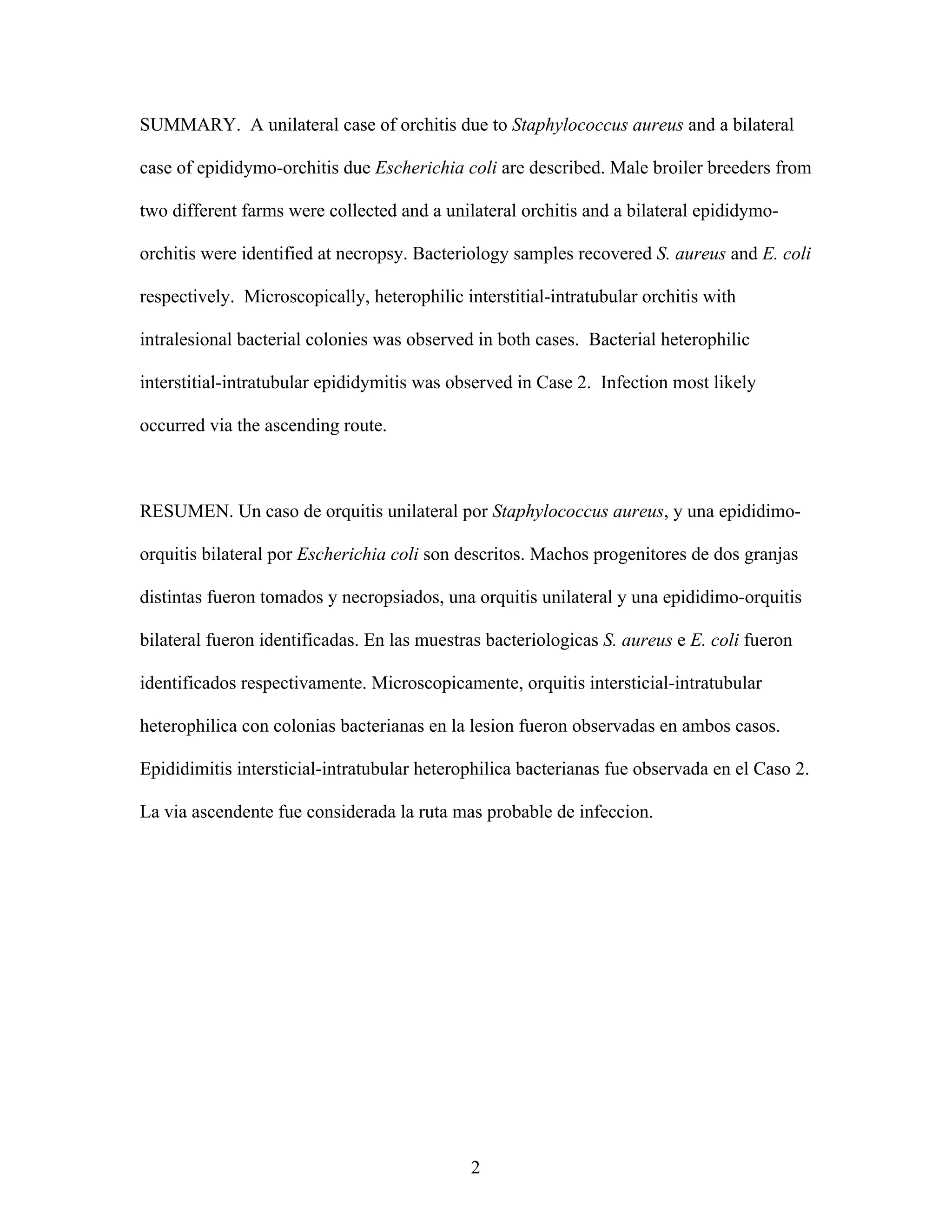 2
SUMMARY. A unilateral case of orchitis due to Staphylococcus aureus and a bilateral
case of epididymo-orchitis due Escherichia coli are described. Male broiler breeders from
two different farms were collected and a unilateral orchitis and a bilateral epididymo-
orchitis were identified at necropsy. Bacteriology samples recovered S. aureus and E. coli
respectively. Microscopically, heterophilic interstitial-intratubular orchitis with
intralesional bacterial colonies was observed in both cases. Bacterial heterophilic
interstitial-intratubular epididymitis was observed in Case 2. Infection most likely
occurred via the ascending route.
RESUMEN. Un caso de orquitis unilateral por Staphylococcus aureus, y una epididimo-
orquitis bilateral por Escherichia coli son descritos. Machos progenitores de dos granjas
distintas fueron tomados y necropsiados, una orquitis unilateral y una epididimo-orquitis
bilateral fueron identificadas. En las muestras bacteriologicas S. aureus e E. coli fueron
identificados respectivamente. Microscopicamente, orquitis intersticial-intratubular
heterophilica con colonias bacterianas en la lesion fueron observadas en ambos casos.
Epididimitis intersticial-intratubular heterophilica bacterianas fue observada en el Caso 2.
La via ascendente fue considerada la ruta mas probable de infeccion.
 