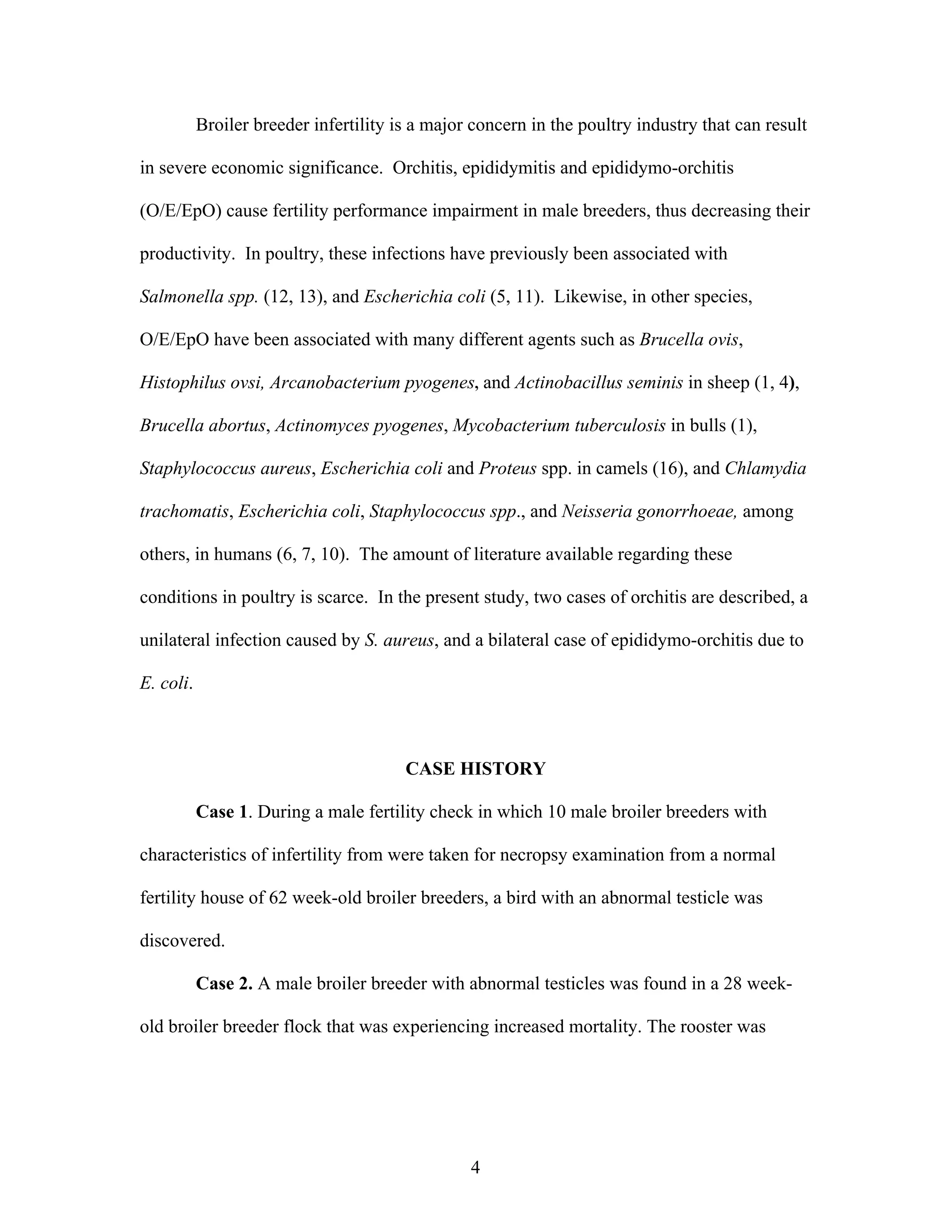 4
Broiler breeder infertility is a major concern in the poultry industry that can result
in severe economic significance. Orchitis, epididymitis and epididymo-orchitis
(O/E/EpO) cause fertility performance impairment in male breeders, thus decreasing their
productivity. In poultry, these infections have previously been associated with
Salmonella spp. (12, 13), and Escherichia coli (5, 11). Likewise, in other species,
O/E/EpO have been associated with many different agents such as Brucella ovis,
Histophilus ovsi, Arcanobacterium pyogenes, and Actinobacillus seminis in sheep (1, 4),
Brucella abortus, Actinomyces pyogenes, Mycobacterium tuberculosis in bulls (1),
Staphylococcus aureus, Escherichia coli and Proteus spp. in camels (16), and Chlamydia
trachomatis, Escherichia coli, Staphylococcus spp., and Neisseria gonorrhoeae, among
others, in humans (6, 7, 10). The amount of literature available regarding these
conditions in poultry is scarce. In the present study, two cases of orchitis are described, a
unilateral infection caused by S. aureus, and a bilateral case of epididymo-orchitis due to
E. coli.
CASE HISTORY
Case 1. During a male fertility check in which 10 male broiler breeders with
characteristics of infertility from were taken for necropsy examination from a normal
fertility house of 62 week-old broiler breeders, a bird with an abnormal testicle was
discovered.
Case 2. A male broiler breeder with abnormal testicles was found in a 28 week-
old broiler breeder flock that was experiencing increased mortality. The rooster was
 