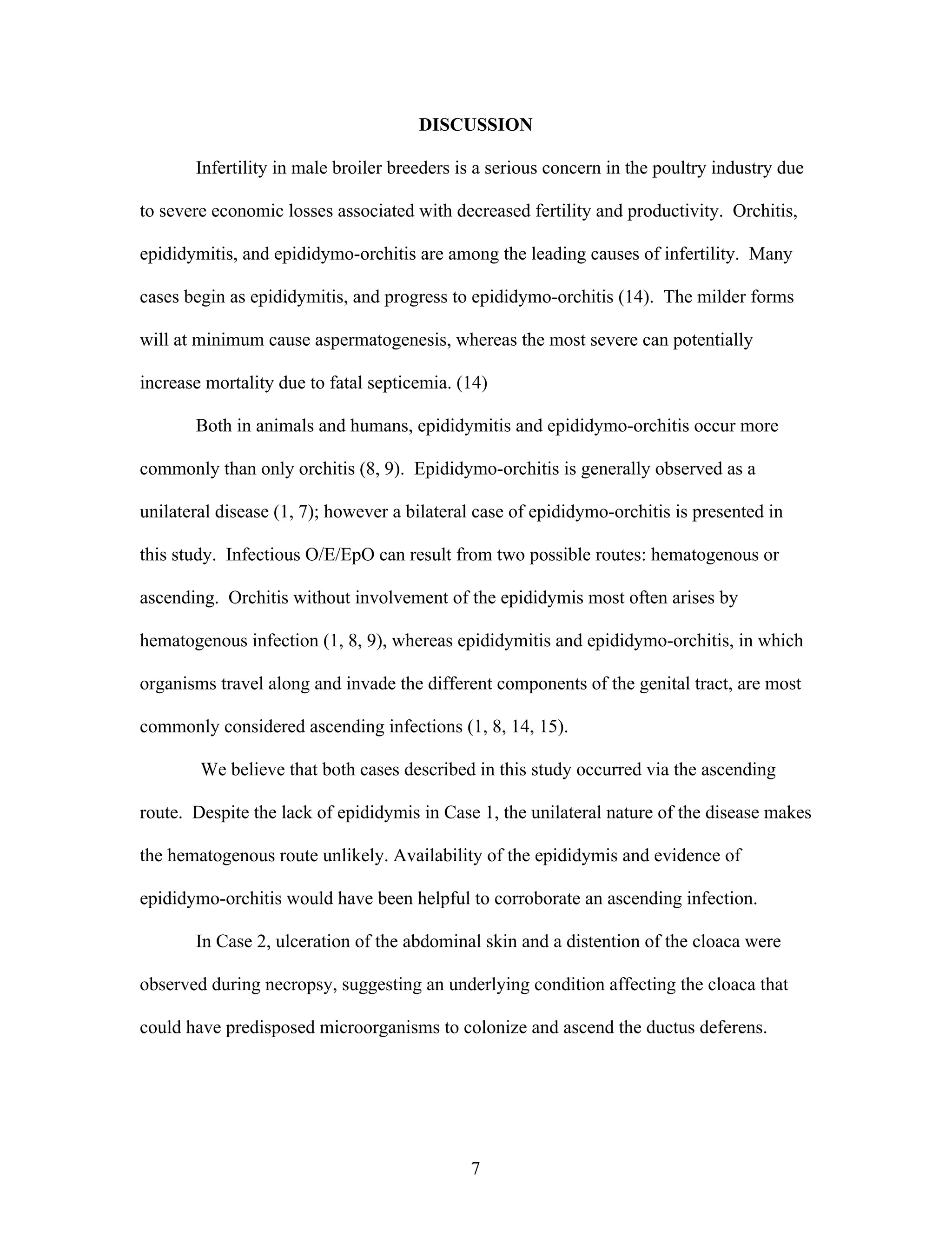 7
DISCUSSION
Infertility in male broiler breeders is a serious concern in the poultry industry due
to severe economic losses associated with decreased fertility and productivity. Orchitis,
epididymitis, and epididymo-orchitis are among the leading causes of infertility. Many
cases begin as epididymitis, and progress to epididymo-orchitis (14). The milder forms
will at minimum cause aspermatogenesis, whereas the most severe can potentially
increase mortality due to fatal septicemia. (14)
Both in animals and humans, epididymitis and epididymo-orchitis occur more
commonly than only orchitis (8, 9). Epididymo-orchitis is generally observed as a
unilateral disease (1, 7); however a bilateral case of epididymo-orchitis is presented in
this study. Infectious O/E/EpO can result from two possible routes: hematogenous or
ascending. Orchitis without involvement of the epididymis most often arises by
hematogenous infection (1, 8, 9), whereas epididymitis and epididymo-orchitis, in which
organisms travel along and invade the different components of the genital tract, are most
commonly considered ascending infections (1, 8, 14, 15).
We believe that both cases described in this study occurred via the ascending
route. Despite the lack of epididymis in Case 1, the unilateral nature of the disease makes
the hematogenous route unlikely. Availability of the epididymis and evidence of
epididymo-orchitis would have been helpful to corroborate an ascending infection.
In Case 2, ulceration of the abdominal skin and a distention of the cloaca were
observed during necropsy, suggesting an underlying condition affecting the cloaca that
could have predisposed microorganisms to colonize and ascend the ductus deferens.
 