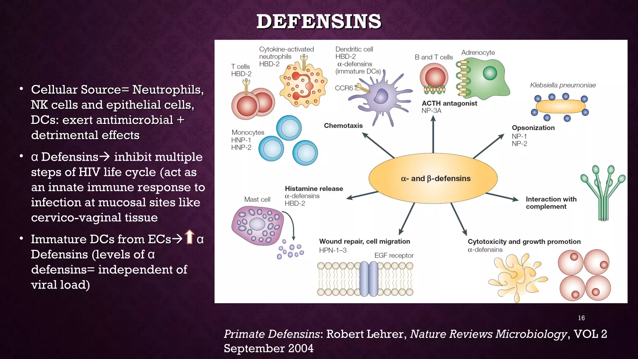 DEFENSINSDEFENSINS
• Cellular Source= Neutrophils,Cellular Source= Neutrophils,
NK cells and epithelial cells,NK cells and epithelial cells,
DCs: exert antimicrobial +DCs: exert antimicrobial +
detrimental effectsdetrimental effects
• Defensinsα  inhibit multiple
steps of HIV life cycle (act as
an innate immune response to
infection at mucosal sites like
cervico-vaginal tissue
• Immature DCs from ECsImmature DCs from ECs α
Defensins (levels of α
defensins= independent of
viral load)
Primate Defensins: Robert Lehrer, Nature Reviews Microbiology, VOL 2
September 2004
16
 