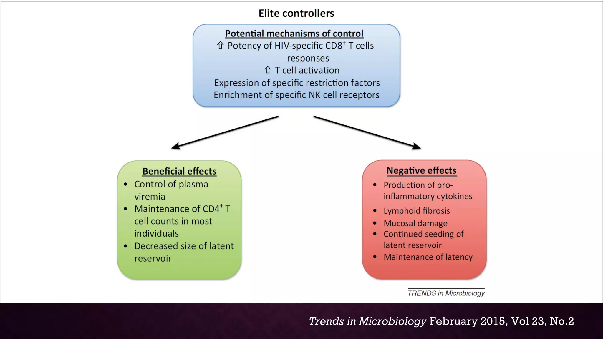 Trends in Microbiology February 2015, Vol 23, No.2
6
 