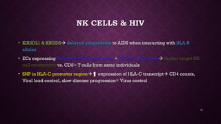 NK CELLS & HIVNK CELLS & HIV
• KIR3DL1 & KIR3DSKIR3DL1 & KIR3DS delayed progressiondelayed progression to AIDS when interacting withto AIDS when interacting with HLA-BHLA-B
allelesalleles
• ECs expressingECs expressing HLA-Bw4*80I (target cells)HLA-Bw4*80I (target cells) ++ KIR3DL1 (NK cells)KIR3DL1 (NK cells) higher target NKhigher target NK
cell cytotoxicitycell cytotoxicity vs. CD8+ T cells from same individualsvs. CD8+ T cells from same individuals
• SNP in HLA-C promoter regionSNP in HLA-C promoter region expression of HLA-C transcriptexpression of HLA-C transcript CD4 counts,CD4 counts,
Viral load control, slow disease progression= Virus controlViral load control, slow disease progression= Virus control
12
 