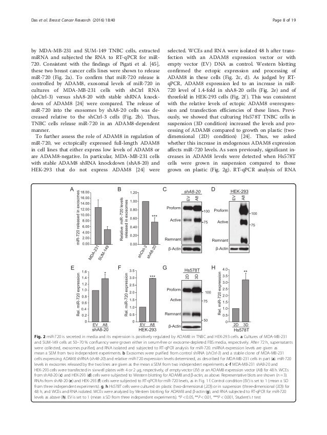 Breast Cancer - Term Paper breast cancer term paper