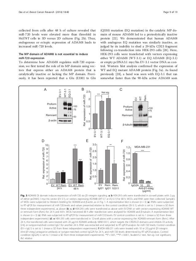 Research papers on breast cancer