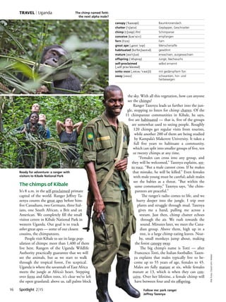 Spotlight 2|1516
TRAVEL | Uganda
The chimps of Kibale
It’s 8 a.m. in the self-proclaimed primate
capital of the world. Ranger Jeﬀrey Ta-
zenya counts the great apes before him:
ﬁve Canadians, two Germans, three Ital-
ians, one South African, a Brit and an
American. We completely ﬁll the small
visitor centre in Kibale National Park in
western Uganda. Our goal is to track
other great apes — some of our closest
cousins, the chimpanzees.
People visit Kibale to see its large pop-
ulation of chimps: more than 1,400 of them
live here. Rangers of the Uganda Wildlife
Authority practically guarantee that we will
see the animals, but as we start to walk
through the tropical forest, I’m sceptical.
Uganda is where the savannah of East Africa
meets the jungle at Africa’s heart. Stepping
over ferns and fallen trees, it’s clear we’ve left
the open grassland; above us, tall palms block
the sky. With all this vegetation, how can anyone
see the chimps?
Ranger Tazenya leads us further into the jun-
gle, stopping to listen for chimp chatter. Of the
11 chimpanzee communities in Kibale, he says,
ﬁve are habituated — that is, ﬁve of the groups
are somewhat used to seeing people. Roughly
120 chimps get regular visits from tourists,
while another 200 of them are being studied
by Kampala’s Makerere University. It takes a
full ﬁve years to habituate a community,
which can split into smaller groups of ﬁve, ten
or twenty chimps at any time.
“Females can cross into any group, and
they will be welcomed,” Tazenya explains, sot-
to voce. “But a male cannot cross. If he makes
that mistake, he will be killed.” Even females
with male young must be careful; adult males
see the babies as a threat. “But within the
same community,” Tazenya says, “the chim-
panzees are peaceful.”
The ranger’s radio comes to life, and we
hurry deeper into the jungle. I trip over
plants and struggle through mud. Tazenya
gives me a hand, pulling me across a
stream. Just then, chimp chatter echoes
through the air. We rush towards the
sound. Minutes later, we meet the Cana-
dian group. Above them, high up in a
tree, is a large chimp eating leaves. Near-
by, small monkeys jump about, making
the forest canopy sway.
The big chimp’s name is Totti — after
Francesco Totti, the Italian footballer. Tazen-
ya explains that males typically live to be-
come up to 55 years of age, females to 45.
Males are fully mature at six, while females
mature at 13, which is when they can con-
ceive. Over her lifetime, a female chimp will
have between four and six oﬀspring.
canopy [(kÄnEpi] Baumkronendach
chatter [(tSÄtE] Geplapper, Geschnatter
chimp [tSImp] ifml. Schimpanse
conceive [kEn(si:v] empfangen
fern [f§:n] Farn
great ape [)greIt (eIp] Menschenaffe
habituated [hE(bItSueItId] gewöhnt
mature [mE(tSUE] erwachsen, ausgewachsen
offspring [(QfsprIN] Junge, Nachwuchs
self-proclaimed
[)self prEU(kleImd]
selbst ernannt
sotto voce [)sQtEU (vEUtSi] mit gedämpftem Ton
sway [sweI] schwanken, hin- und
herbewegen
Ready for adventure: a ranger with
visitors to Kibale National Park
Follow me: park ranger
Jeffrey Tazenya
The chimp named Totti:
the next alpha male?
AlleFotos:DavidJohnWeber
 