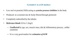 Cystatin-C as a GF marker:
• Low mol wt protein(13kD) acting as cysteine protease inhibitor in the body
• Produced at a constant rate & freely filtered through glomeruli
• Completely reabsorbed by the tubules
• Reference blood: 0.8 to 1.2mg/L
– Unaffected by age, sex, muscle mass, diet & inflammatory process , unlike
creatinine
– It is a very good marker for estimation of GFR
 