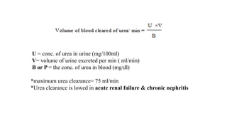 U = conc. of urea in urine (mg/100ml)
V= volume of urine excreted per min ( ml/min)
B or P = the conc. of urea in blood (mg/dl)
*maximum urea clearance= 75 ml/min
*Urea clearance is lowed in acute renal failure & chronic nephritis
 