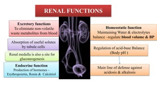 RENAL FUNCTIONS
Excretory functions
To eliminate non-volatile
waste metabolites from blood
Absorption of useful solutes
by tubule cells
Homeostatic function
Maintaining Water & electrolytes
balance –regulate blood volume & BP
Regulation of acid-base Balance
(Body pH )
Endocrine function
Production of hormones -
Erythropoietin, Renin & Calcitriol
Main line of defense against
acidosis & alkalosis
Renal medulla is also a site for
gluconeogenesis
 