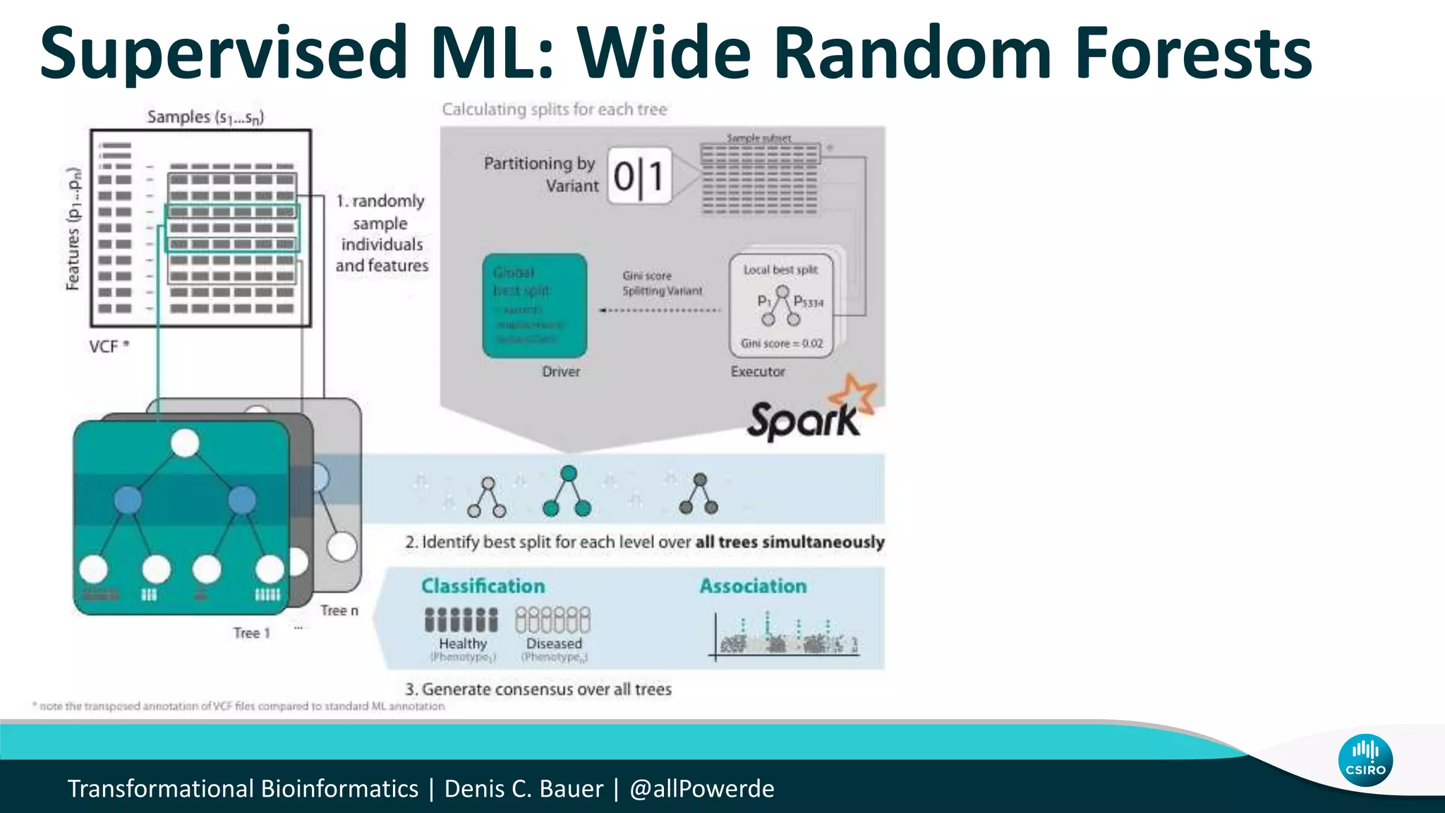 Supervised ML: Wide Random Forests
Transformational Bioinformatics | Denis C. Bauer | @allPowerde
 