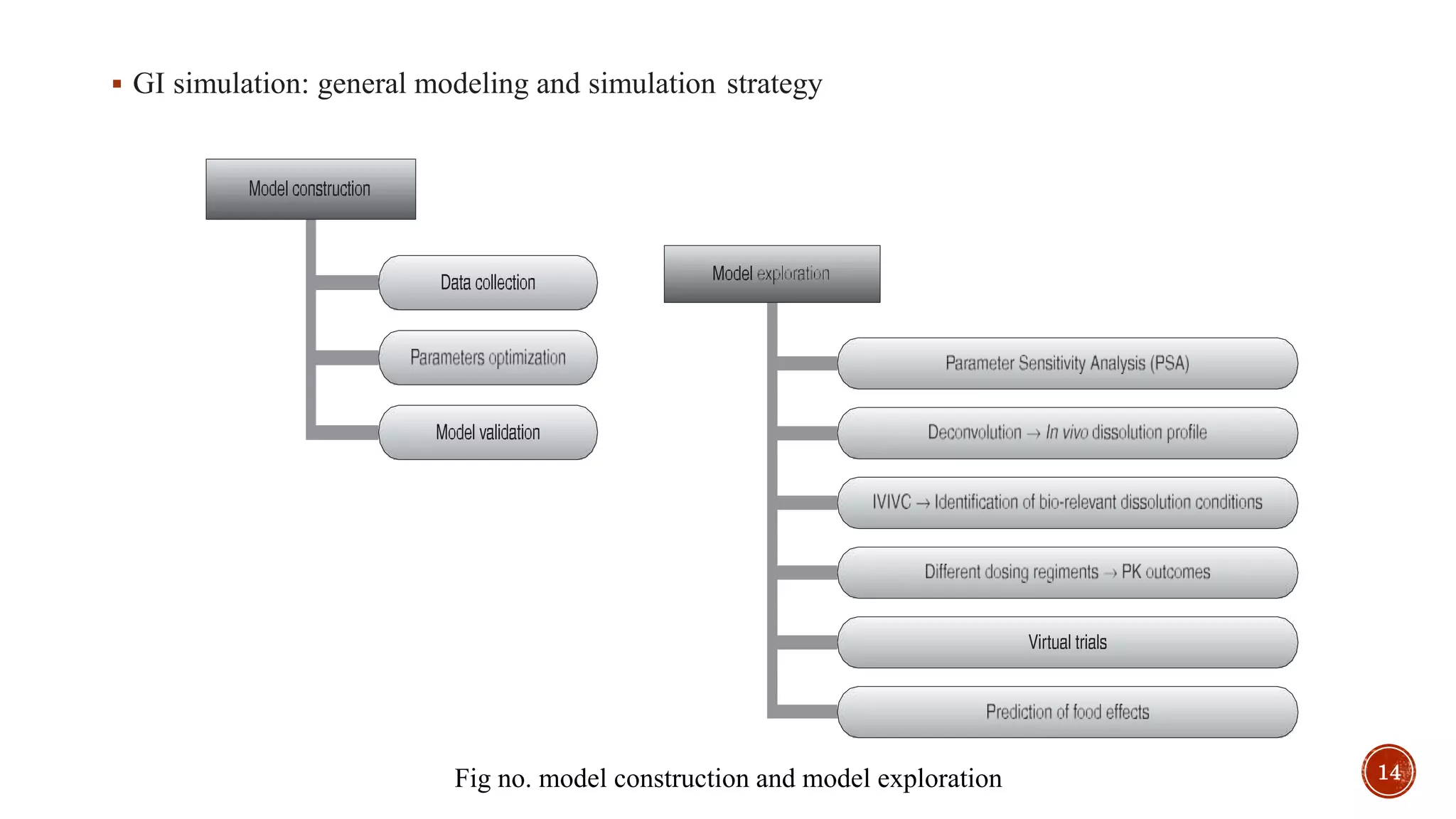  GI simulation: general modeling and simulation strategy
Fig no. model construction and model exploration 14
 