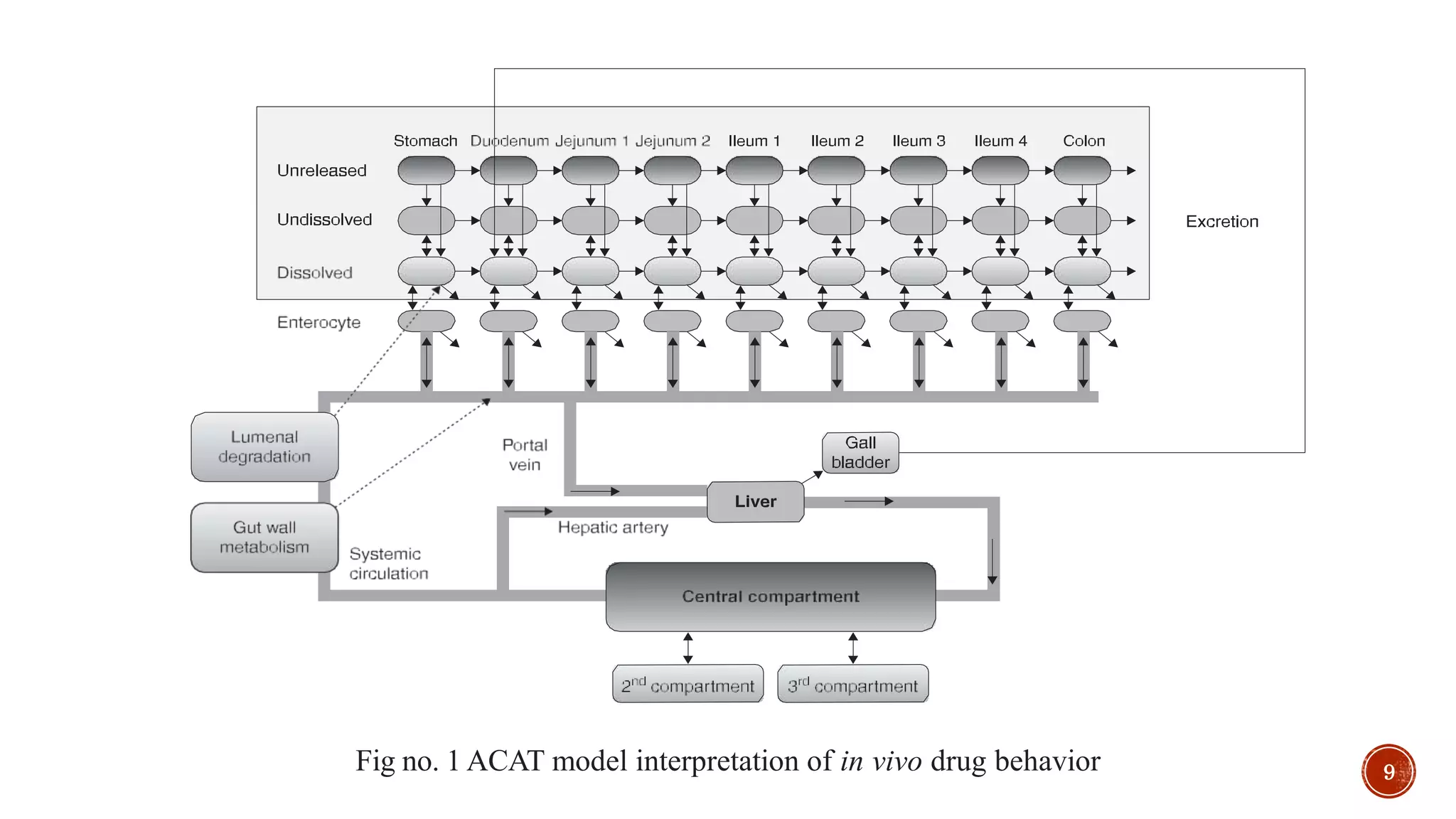 Fig no. 1 ACAT model interpretation of in vivo drug behavior 9
 