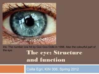 Iris: The number one hit by Goo Goo Dolls in 1998. Also the colourful part of 
the eye. 
The eye: Structure 
and function 
Csilla Egri, KIN 306, Spring 2012 
 