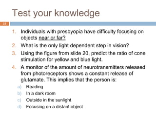 23 
Test your knowledge 
1. Individuals with presbyopia have difficulty focusing on 
objects near or far? 
2. What is the only light dependent step in vision? 
3. Using the figure from slide 20, predict the ratio of cone 
stimulation for yellow and blue light. 
4. A monitor of the amount of neurotransmitters released 
from photoreceptors shows a constant release of 
glutamate. This implies that the person is: 
a) Reading 
b) In a dark room 
c) Outside in the sunlight 
d) Focusing on a distant object 
