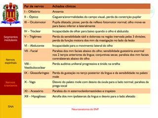 Neuroanatomia do SNP
Par de nervos Achados clínicos
I – Olfatório Anosmia
II – Óptico Cegueira/anormalidades do campo visual, perda da constrição pupilar
III – Oculomotor Pupila dilatada; ptose; perda de reflexo fotomotor normal; olho move-se
para baixo inferior e lateralmente
IV – Troclear Incapacidade de olhar para baixo quando o olho é abduzido
V – Trigêmeo Perda da sensibilidade tátil e dolorosa na região inervada pelas 3 divisões;
perda da função motora dos mm da mastigação no lado da lesão
VI – Abducente Incapacidade para o movimento lateral do olho
VII - Facial Paralisia dos mm faciais abaixo do olho; sensibilidade gustatória anormal
nos 2 terços anteriores da língua; conjuntivas secas; paralisia dos mm faciais
contralaterais abaixo do olho
VIII -
Vestibulococlear
Perda auditiva unilteral progressiva e tinido na orelha
IX - Glossofaríngeo Perda da gustação no terço posterior da língua e da sensibilidade no palato
mole
X - Vago Desvio do palato mole com desvio da úvula para o lado normal; paralisia da
prega vocal
XI – Acessório Paralisia do m esternocleidomastóideo e trapézio
XII – Hipoglosso Atrofia dos mm ipsilaterais da língua e desvio para o lado afetado
Nervos
cranianos
Nervos
espinhais
Segmentos
medulares
SNA
 