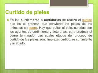 Curtido de pieles
 En las curtiembres o curtidurías se realiza el curtido
que es el proceso que convierte las pieles de los
animales en cuero. Hay que quitar el pelo, curtirlas con
los agentes de curtimiento y tinturarlas, para producir el
cuero terminado. Las cuatro etapas del proceso de
curtido de las pieles son: limpieza, curtido, re curtimiento
y acabado.
 