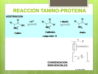 REACCION TANINO-PROTEINA
ADSTRINCION
CONDENZACION
IRREVERCIBLES
 