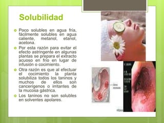 Solubilidad
 Poco solubles en agua fría,
fácilmente solubles en agua
caliente, metanol, etanol,
acetona.
 Por esta razón para evitar el
efecto astringente en algunas
plantas se prepara el extracto
acuoso en frío en lugar de
infusión o cocimiento.
 Otra razón es que al efectuar
el cocimiento la planta
solubiliza todos los taninos y
muchos de ellos son
cancerígenos o irritantes de
la mucosa gástrica.
 Los taninos no son solubles
en solventes apolares.
 