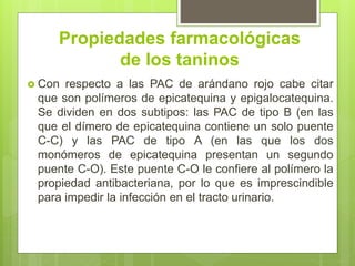 Propiedades farmacológicas
de los taninos
 Con respecto a las PAC de arándano rojo cabe citar
que son polímeros de epicatequina y epigalocatequina.
Se dividen en dos subtipos: las PAC de tipo B (en las
que el dímero de epicatequina contiene un solo puente
C-C) y las PAC de tipo A (en las que los dos
monómeros de epicatequina presentan un segundo
puente C-O). Este puente C-O le confiere al polímero la
propiedad antibacteriana, por lo que es imprescindible
para impedir la infección en el tracto urinario.
 