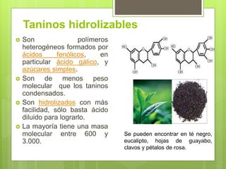 Taninos hidrolizables
 Son polímeros
heterogéneos formados por
ácidos fenólicos, en
particular ácido gálico, y
azúcares simples.
 Son de menos peso
molecular que los taninos
condensados.
 Son hidrolizados con más
facilidad, sólo basta ácido
diluido para lograrlo.
 La mayoría tiene una masa
molecular entre 600 y
3.000.
Se pueden encontrar en té negro,
eucalipto, hojas de guayabo,
clavos y pétalos de rosa.
 
