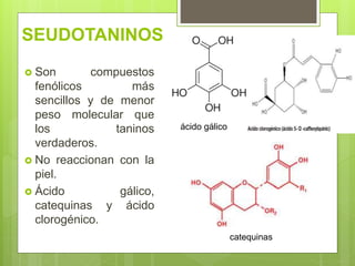 SEUDOTANINOS
 Son compuestos
fenólicos más
sencillos y de menor
peso molecular que
los taninos
verdaderos.
 No reaccionan con la
piel.
 Ácido gálico,
catequinas y ácido
clorogénico.
ácido gálico
catequinas
 
