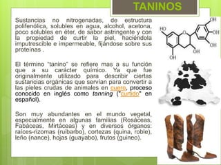 TANINOS
Sustancias no nitrogenadas, de estructura
polifenólica, solubles en agua, alcohol, acetona,
poco solubles en éter, de sabor astringente y con
la propiedad de curtir la piel, haciéndola
imputrescible e impermeable, fijándose sobre sus
proteínas .
El término “tanino” se refiere mas a su función
que a su carácter químico. Ya que fue
originalmente utilizado para describir ciertas
sustancias orgánicas que servían para convertir a
las pieles crudas de animales en cuero, proceso
conocido en inglés como tanning ("curtido" en
español).
Son muy abundantes en el mundo vegetal,
especialmente en algunas familias (Rosáceas,
Fabáceas, Mirtáceas) y en diversos órganos:
raíces-rizomas (ruibarbo), cortezas (quina, roble),
leño (nance), hojas (guayabo), frutos (guineo).
 