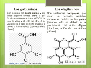 Los elagitaninos
Son sustancias complejas, que
dejan un depósito insoluble
durante el curtido de las pieles
(tanado), ello es debido a la
precipitación del ácido elágico
(dilactona, unión de dos ácidos
gálicos).
Los galotaninos.
Son ésteres del ácido gálico y del
ácido digálico unidos entre sí por
funciones ésteres entre el –COOH de
uno de ellos y el -OH del otro. A su
vez unidos a osas como la glucosa, a
veces la hamamelosa (derivada de la
ribosa).
 