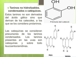  Taninos no hidrolizables,
condensados o catéquicos.
Estos taninos no son derivados
del ácido gálico sino que
derivan de los catecoles, a los
que se los considera protaninos.
Las catequinas se consideran
precursores de los taninos
condensados. Los taninos
presentes en las uvas son
catequinas y sobre todo
leucoantocianidinas.
 