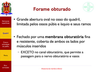 Anatomia do membro inferior
Forame obturado
● Grande abertura oval no osso do quadril,
limitada pelos ossos púbis e ísquio e seus ramos
●
Fechado por uma membrana obturatória fina
e resistente, coberta de ambos os lados por
músculos inseridos
– EXCETO no canal obturatório, que permite a
passagem para o nervo obturatório e vasos
Estruturas
superficiais
Quadril
Coxa e
articulação
do joelho
Perna
Pé e
tornozelo
 