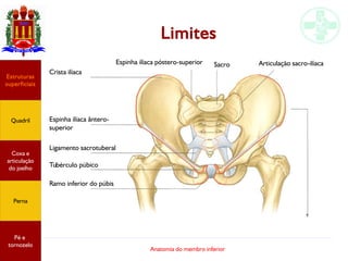 Anatomia do membro inferior
Limites
Crista ilíaca
Espinha ilíaca ântero-
superior
Ligamento sacrotuberal
Tubérculo púbico
Ramo inferior do púbis
Espinha ilíaca póstero-superior Sacro Articulação sacro-ilíaca
Estruturas
superficiais
Quadril
Coxa e
articulação
do joelho
Perna
Pé e
tornozelo
 