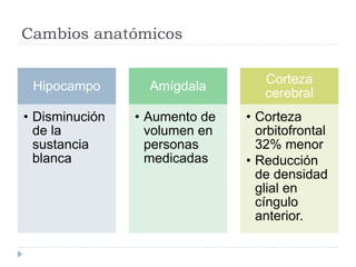 Cambios anatómicos 
Hipocampo 
• Disminución 
de la 
sustancia 
blanca 
Amígdala 
• Aumento de 
volumen en 
personas 
medicadas 
Corteza 
cerebral 
• Corteza 
orbitofrontal 
32% menor 
• Reducción 
de densidad 
glial en 
cíngulo 
anterior. 
 