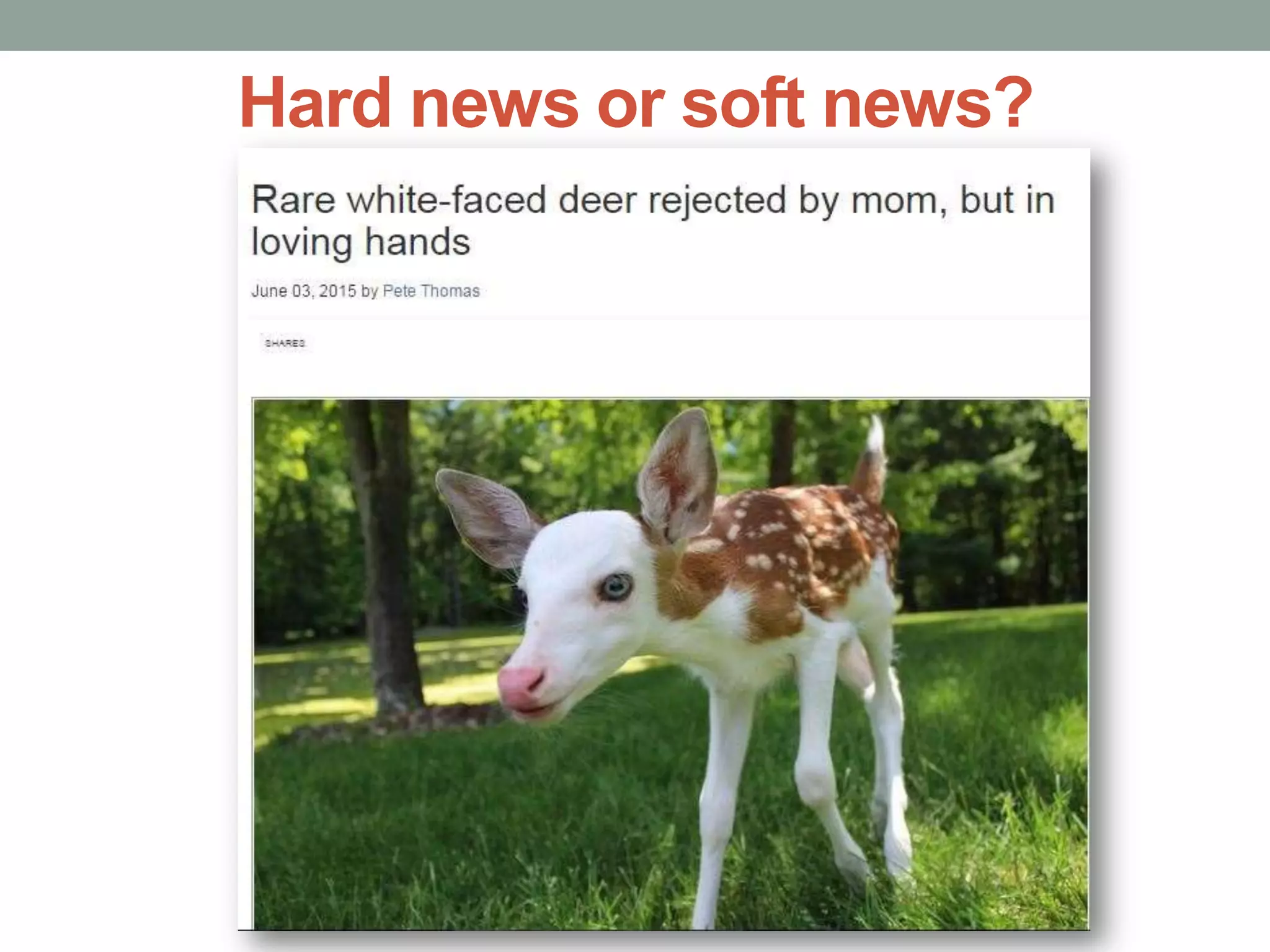 Hard news or soft news?
 