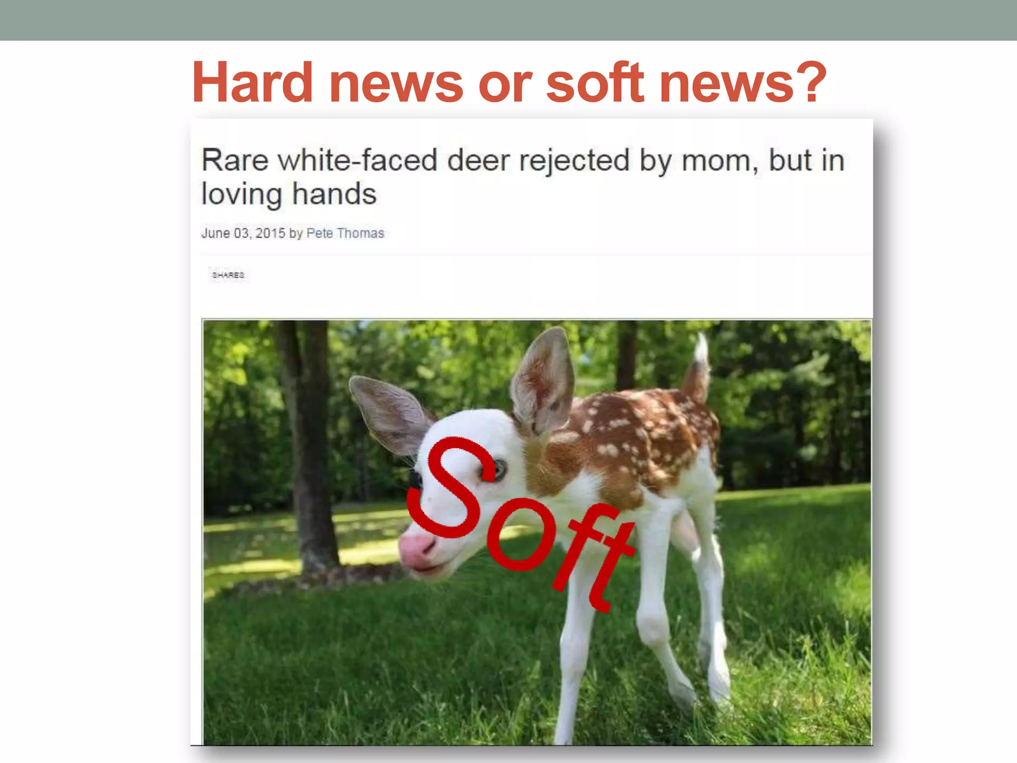 Hard news or soft news?
 