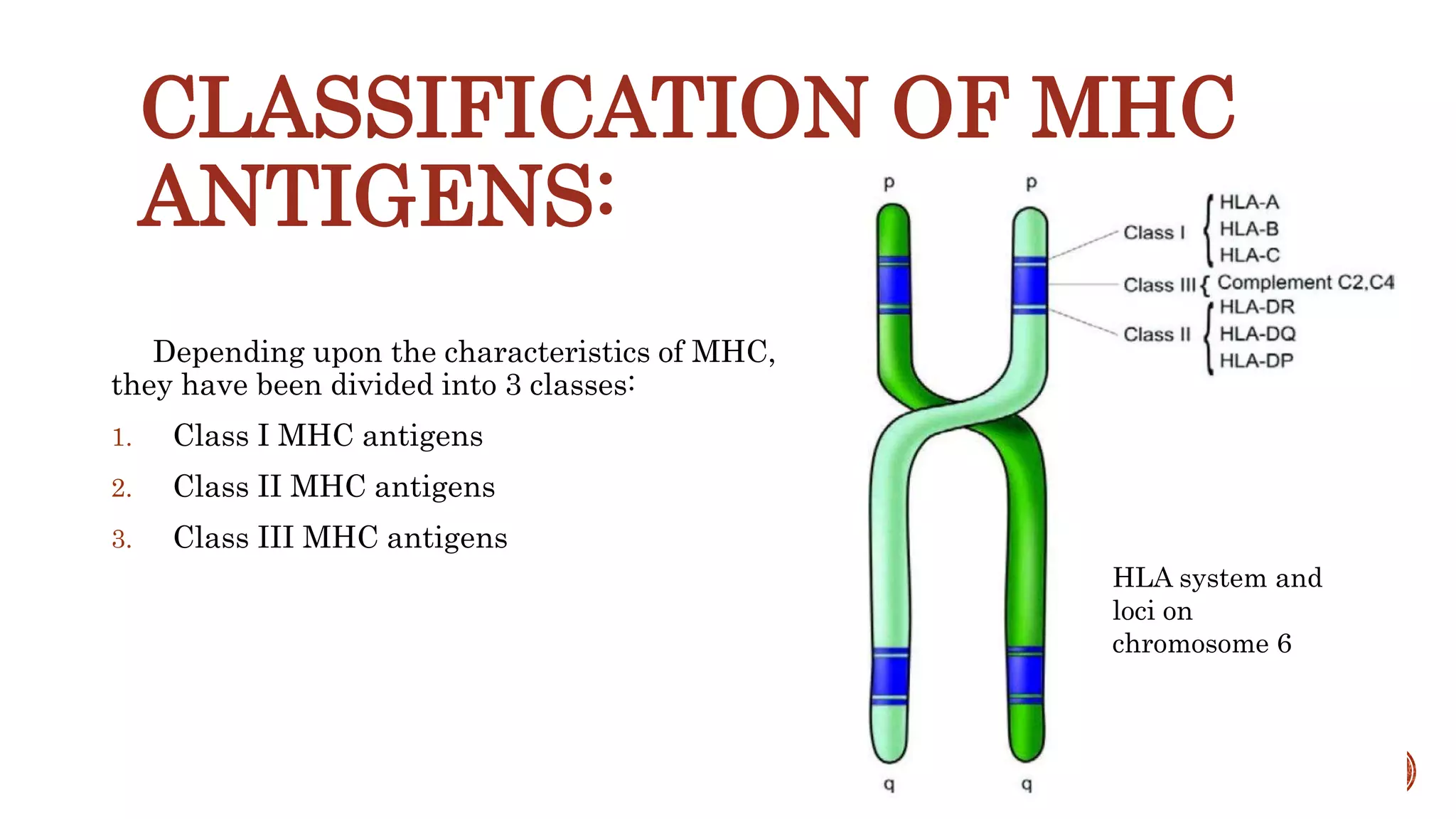CLASSIFICATION OF MHC
ANTIGENS:
Depending upon the characteristics of MHC,
they have been divided into 3 classes:
1. Class I MHC antigens
2. Class II MHC antigens
3. Class III MHC antigens
HLA system and
loci on
chromosome 6
 