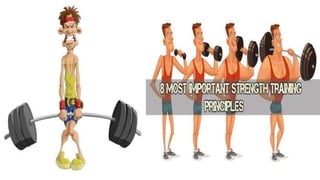 Exercises and its_principles