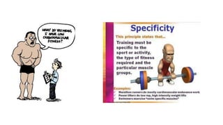 Exercises and its_principles