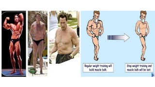 Exercises and its_principles