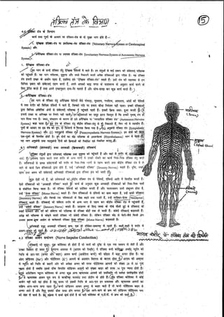 Anatomy 2nd semester 4th pepar