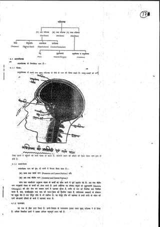 Anatomy 2nd semester 4th pepar