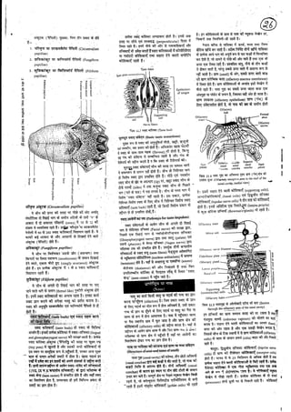 Anatomy 2nd semester 4th pepar