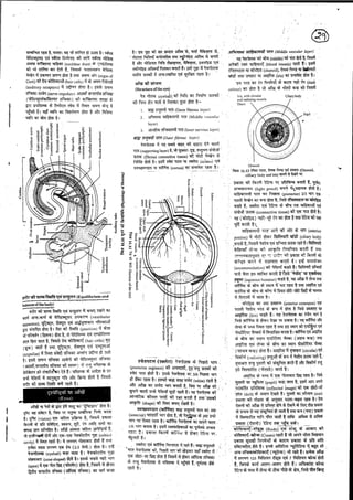 Anatomy 2nd semester 4th pepar
